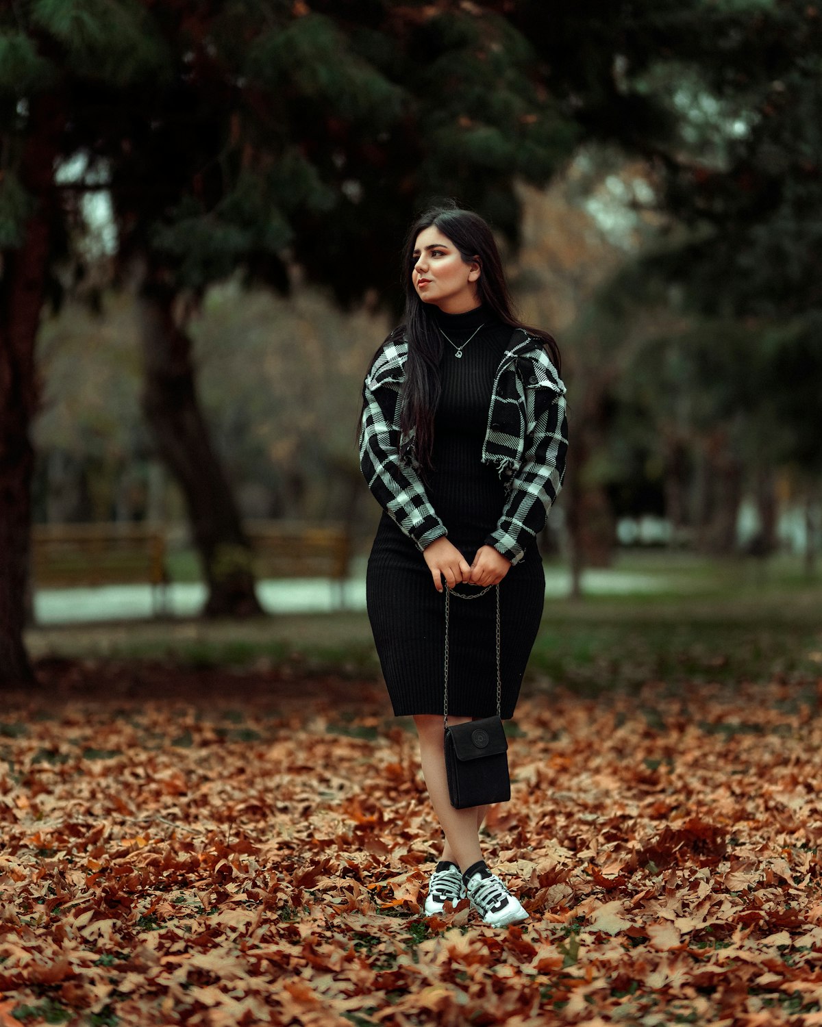 Petersburg Flannel Shirt Dress